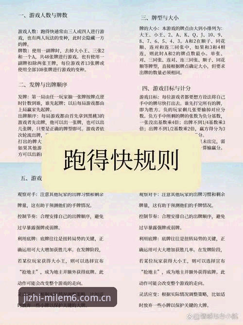 揭秘米乐m6体育游戏教程背后的真相：从菜鸟到高手的完整路径
